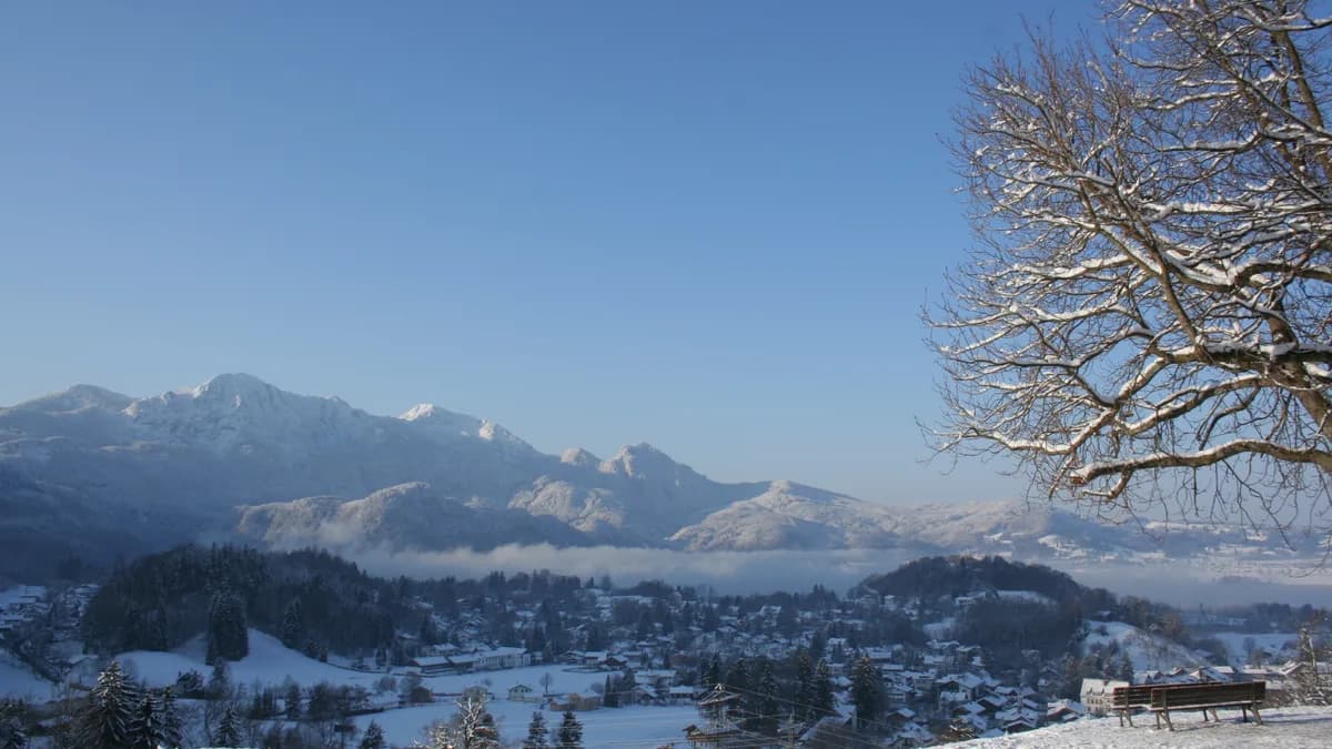 Uferansicht in Kochel am See