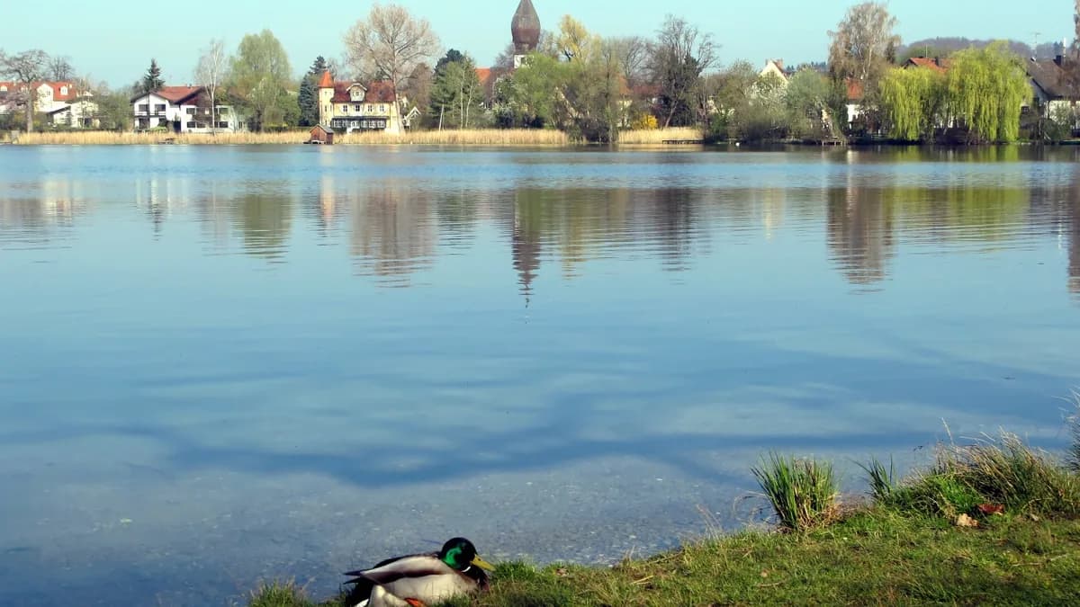Blick auf Weßling
